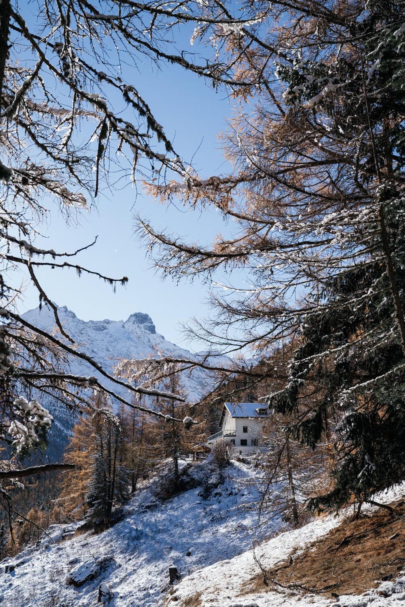 Waldhotel Fletschhorn Panoramic Retreat In Saas Fee Экстерьер фото