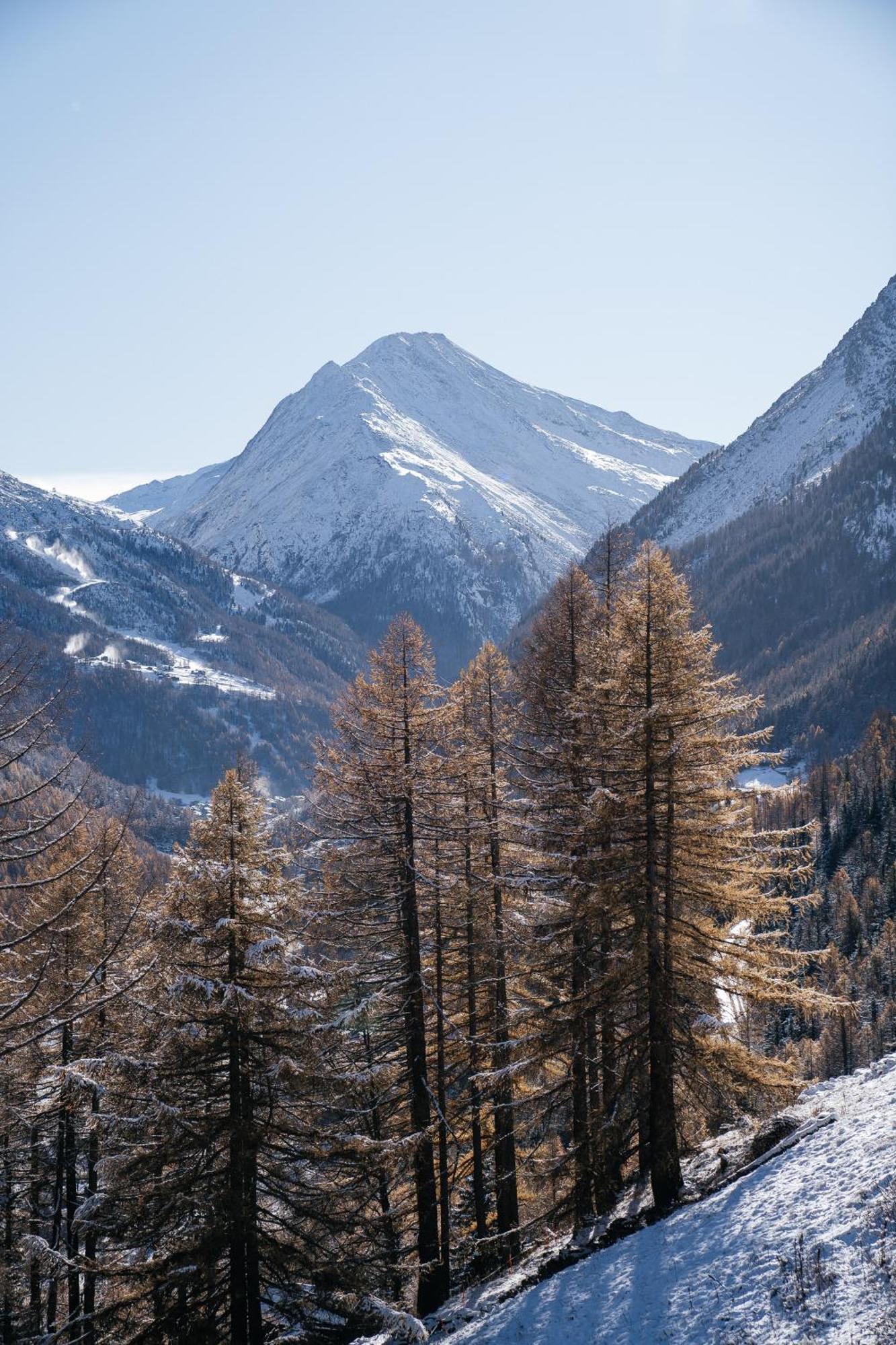 Waldhotel Fletschhorn Panoramic Retreat In Saas Fee Экстерьер фото