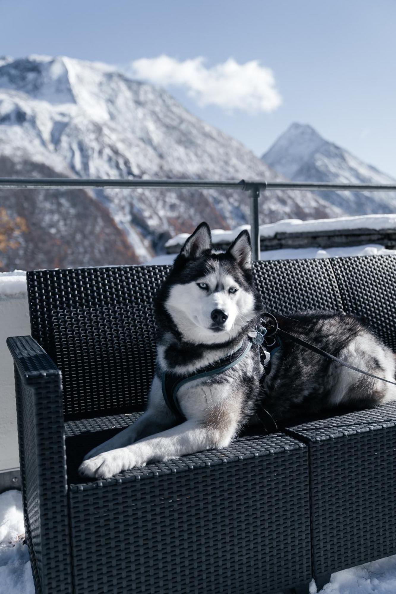 Waldhotel Fletschhorn Panoramic Retreat In Saas Fee Экстерьер фото